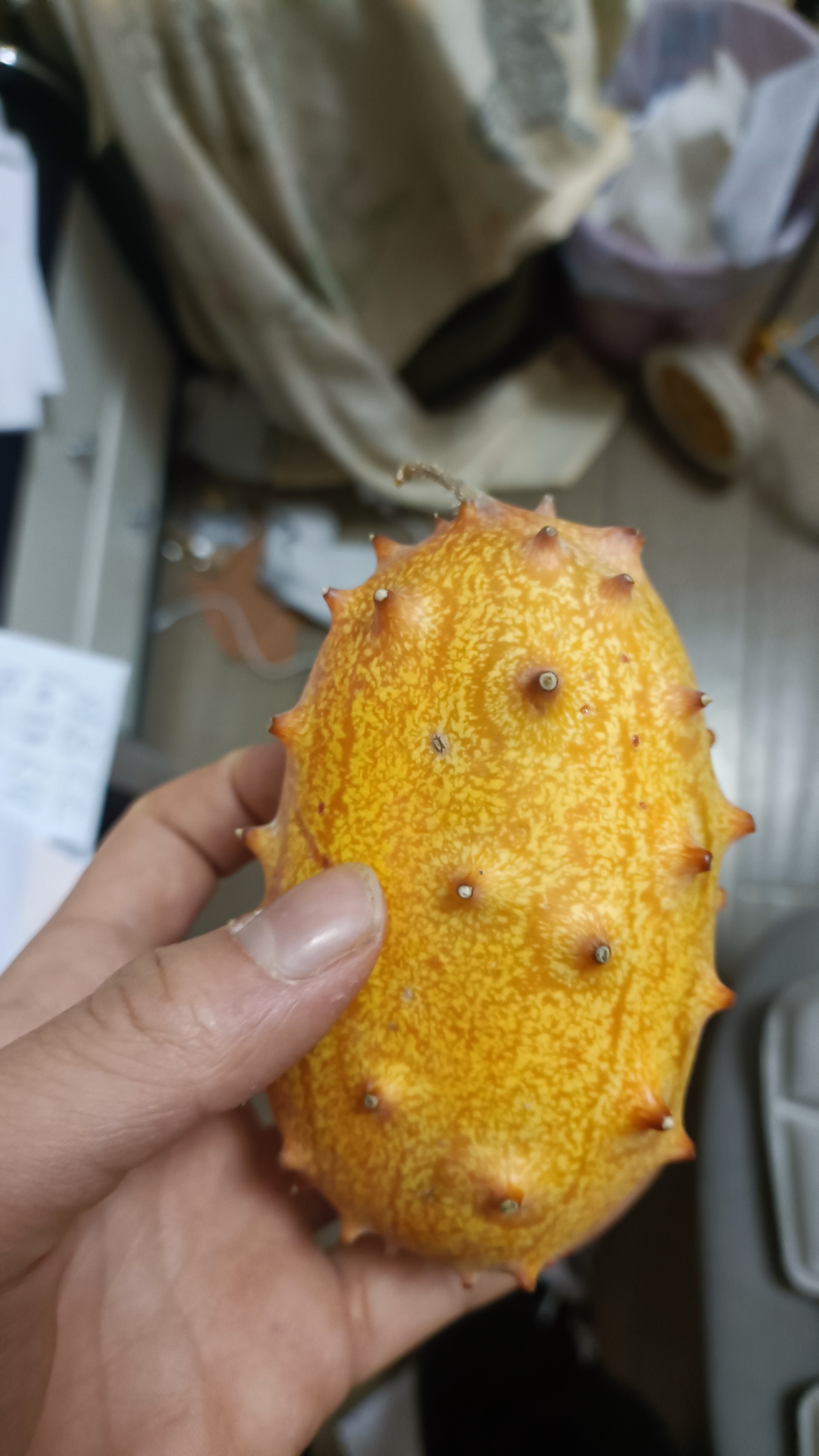 刺梨原图1